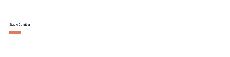 Studio Dumitru logo